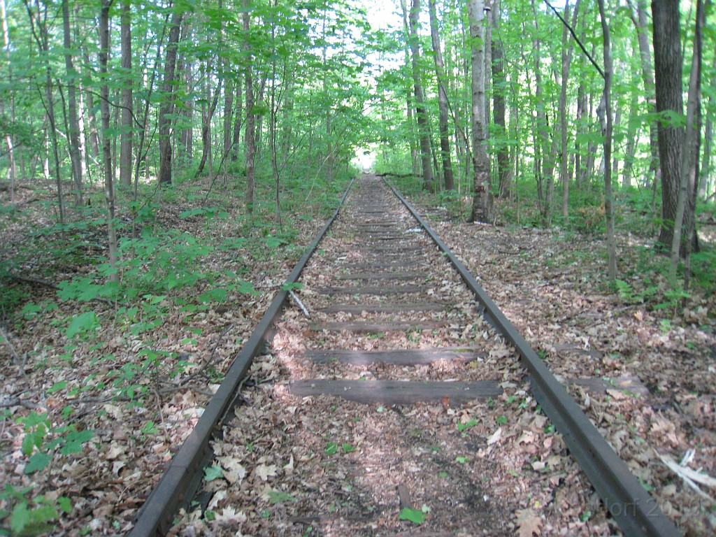 Tilton NH Rail Trail 2010 0170.jpg - Winnipesaukee River Trail, Franklin New HampshireTrestle View ParkInterested in taking a walk or bike ride on a scenic historic trail close to the downtowns of the twin rivers area, yet with the feel of wilderness. A 3 mile trail parallels the Winnipesauke river and passes the historic Sulphite upside down covered bridge believed to be the only one in the country and listed on the national register of historic places. You will also view mill ruins and remaining portions of dams that tell the history of the 5 mills that operated on this river in the mid 19th century.